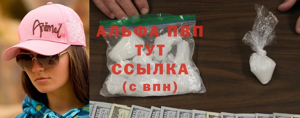 сатива Володарск