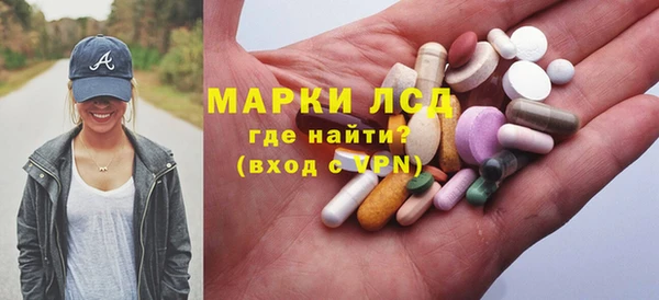 сатива Володарск